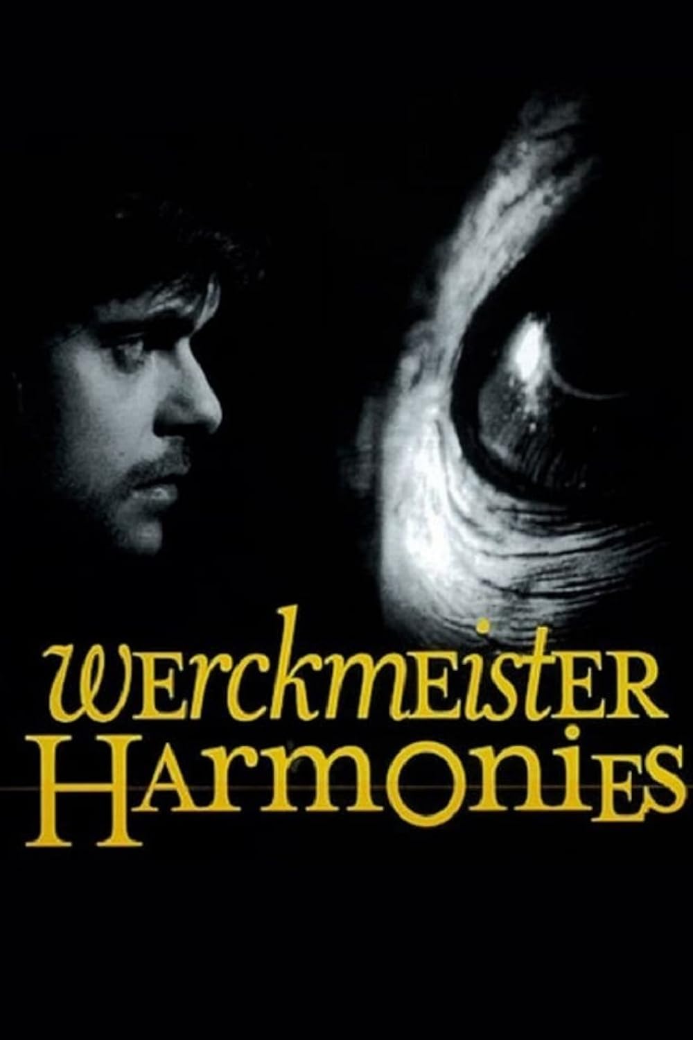 Werckmeister Harmonies (2001)