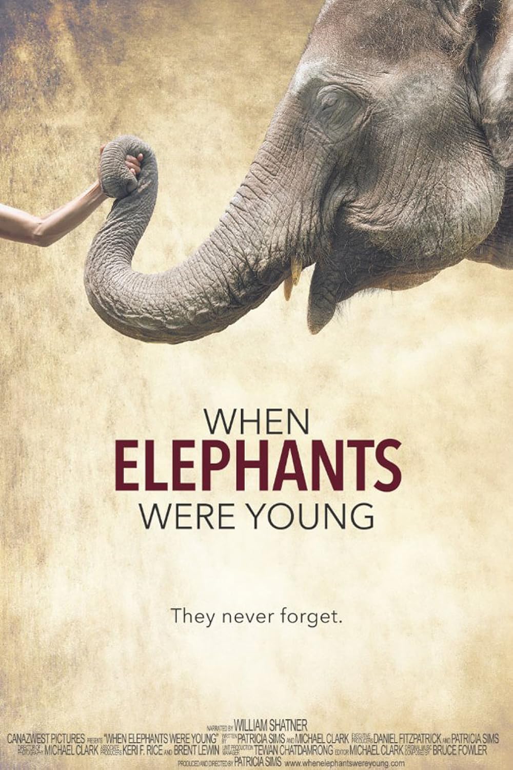 When Elephants Were Young (2016)