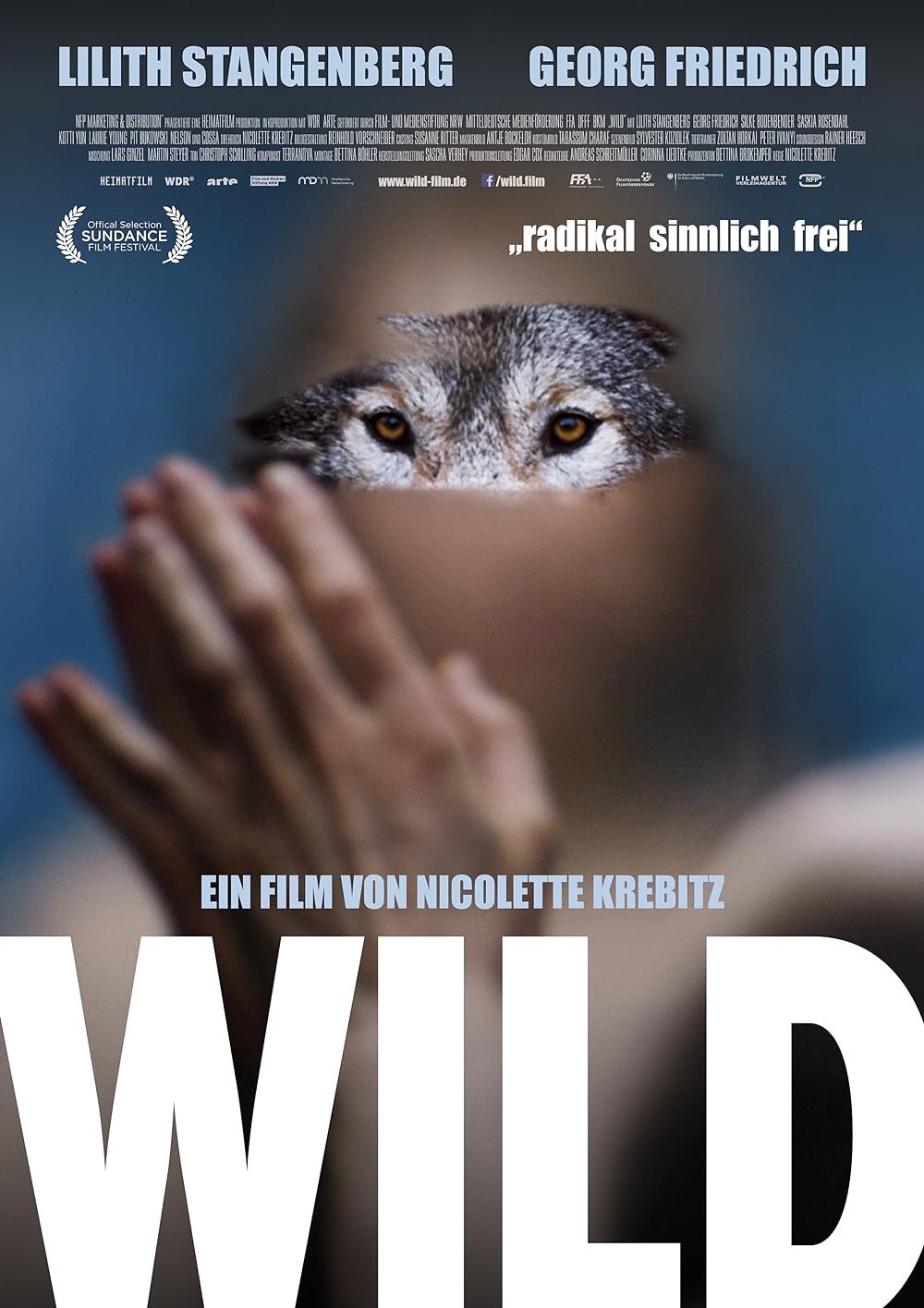 Wild (2016)