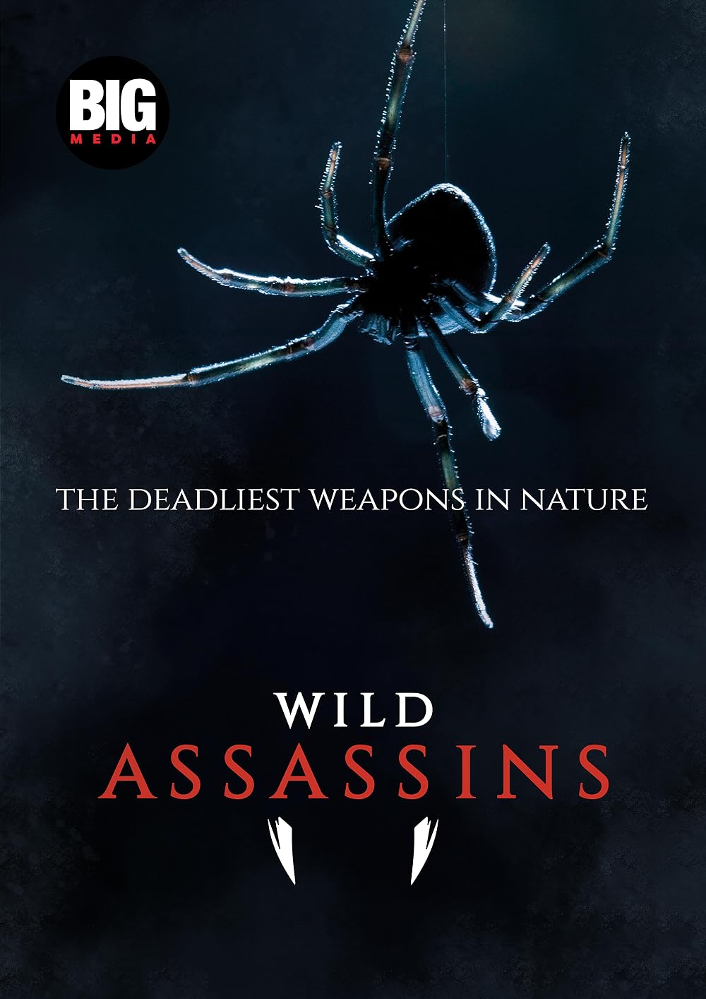 Wild Assassins (2023)