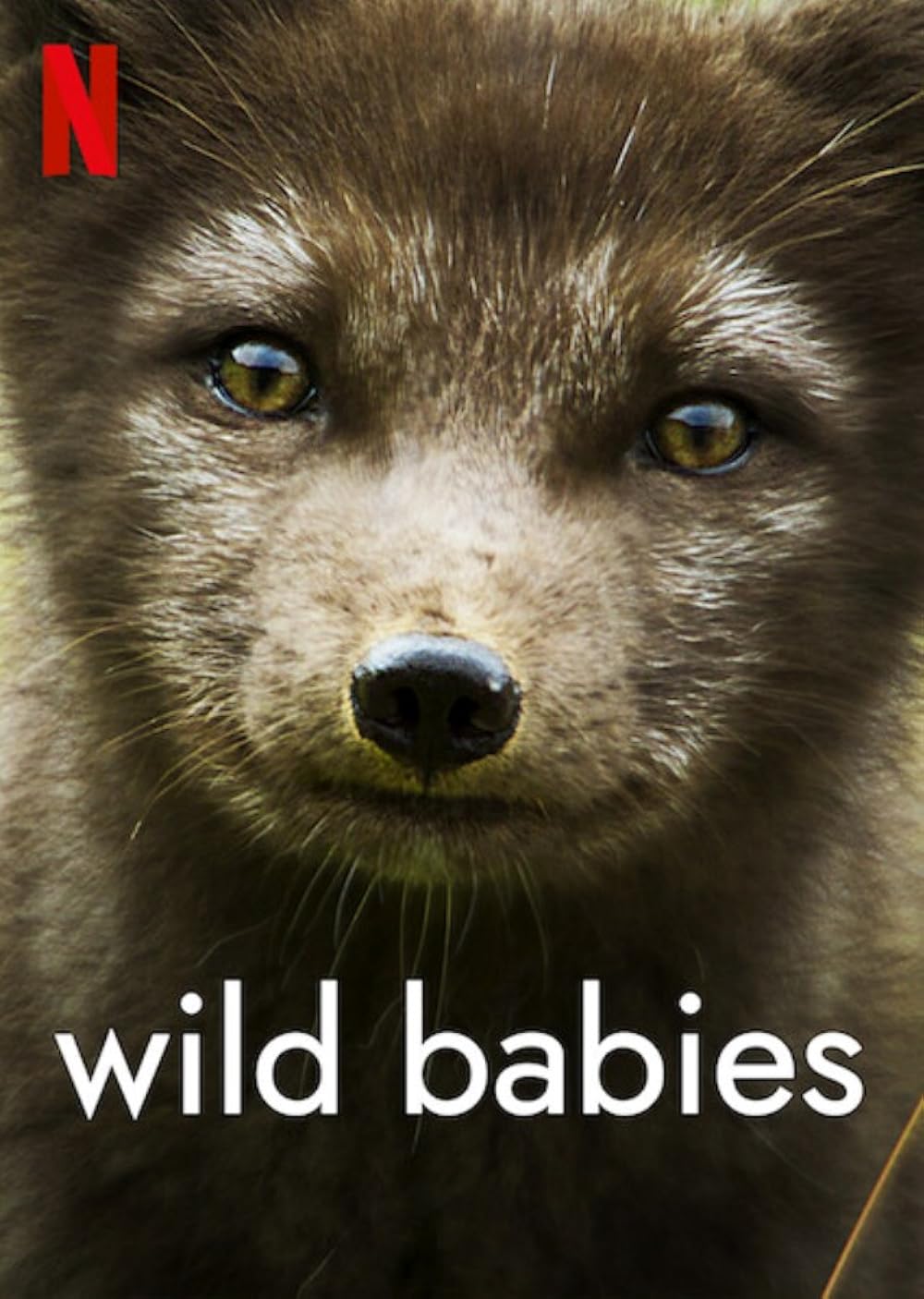 Wild Babies (2022)