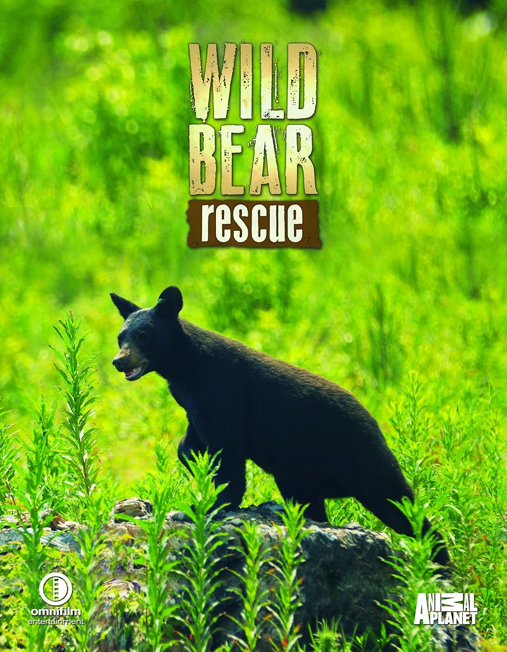 Wild Bear Rescue (2017)