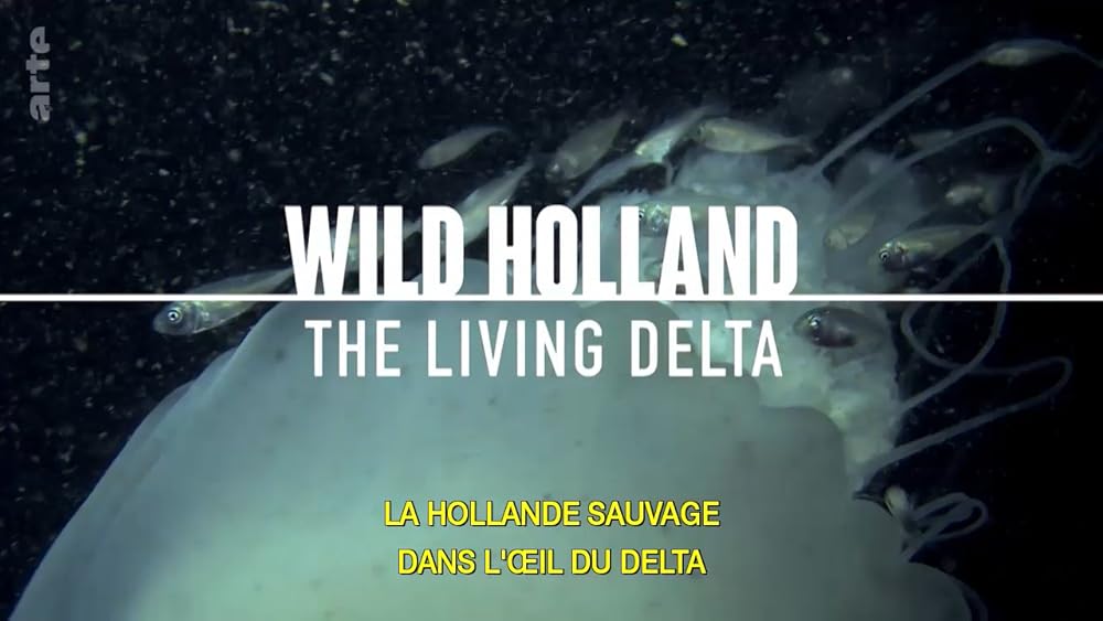 Wild Holland (2017)