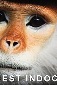 Wildest Indochina (2014)