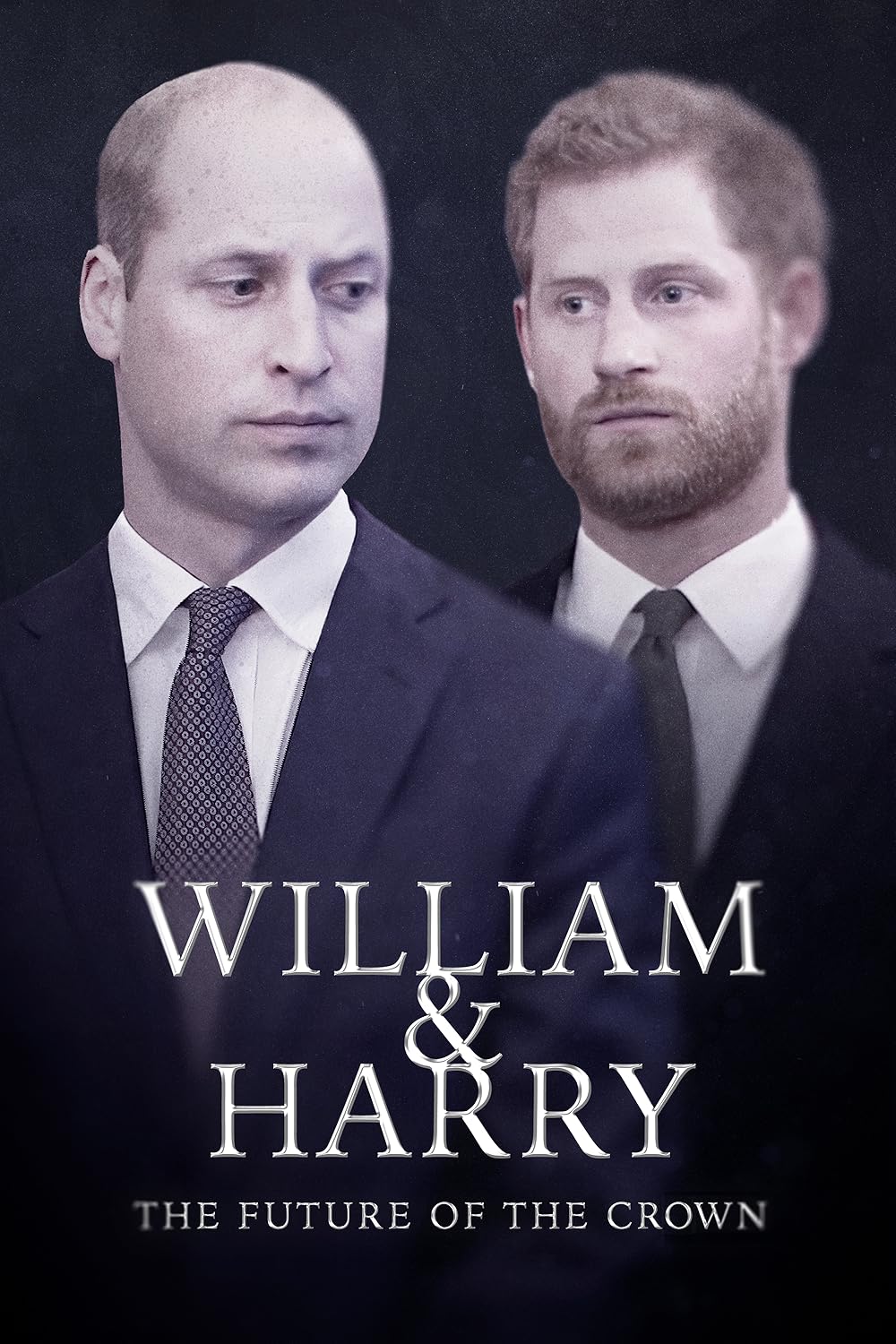 William & Harry: The Future of the Crown (2023)