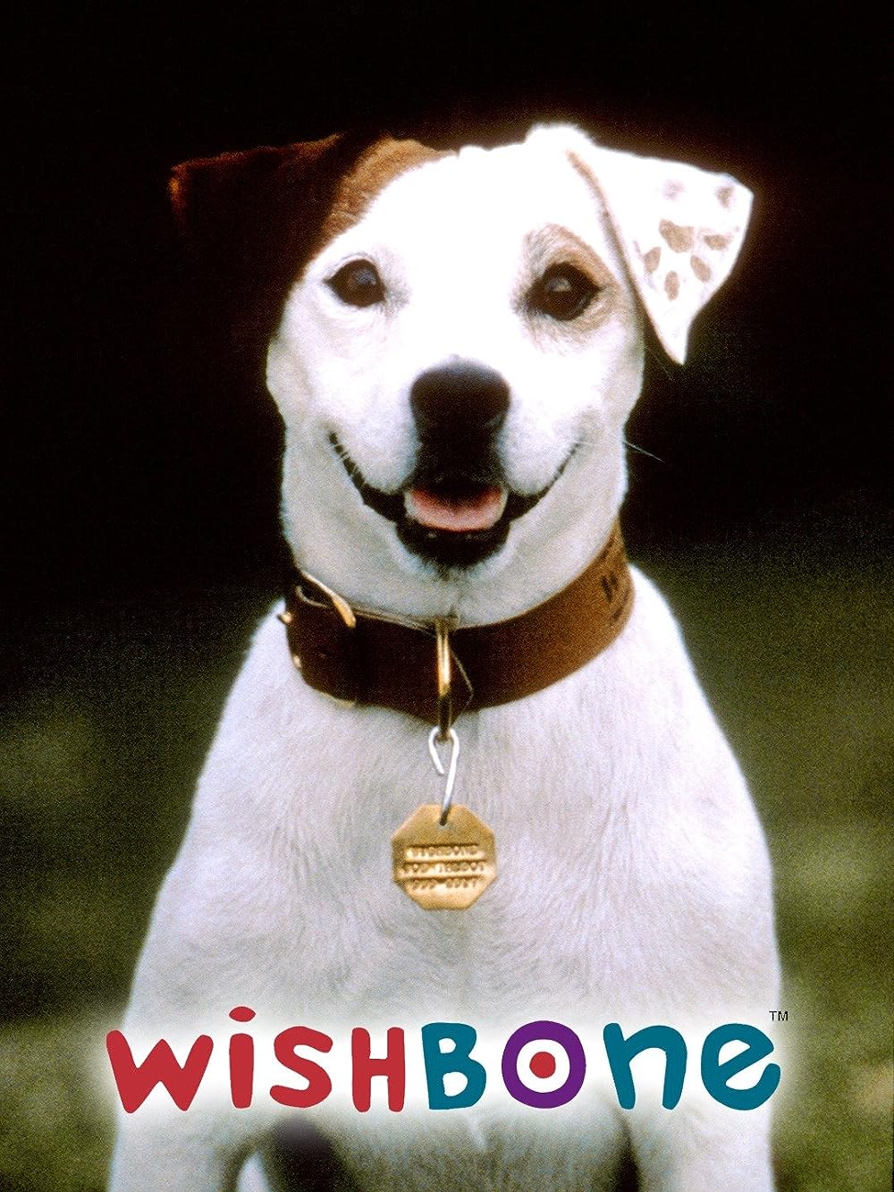 Wishbone (1995)