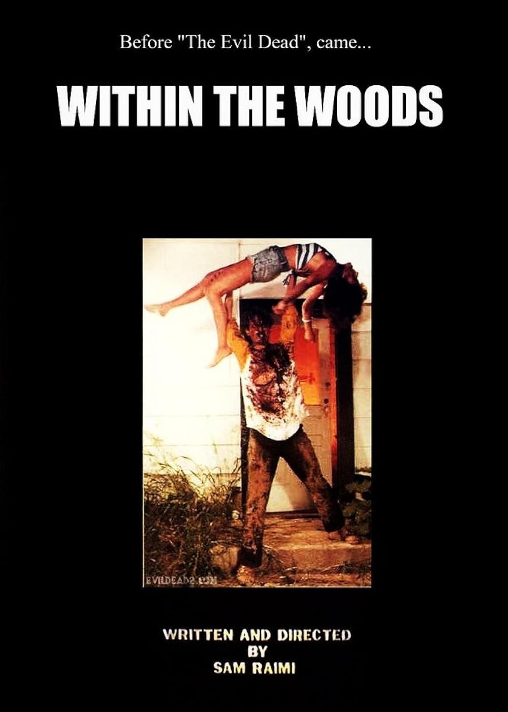 Within the Woods (1978)