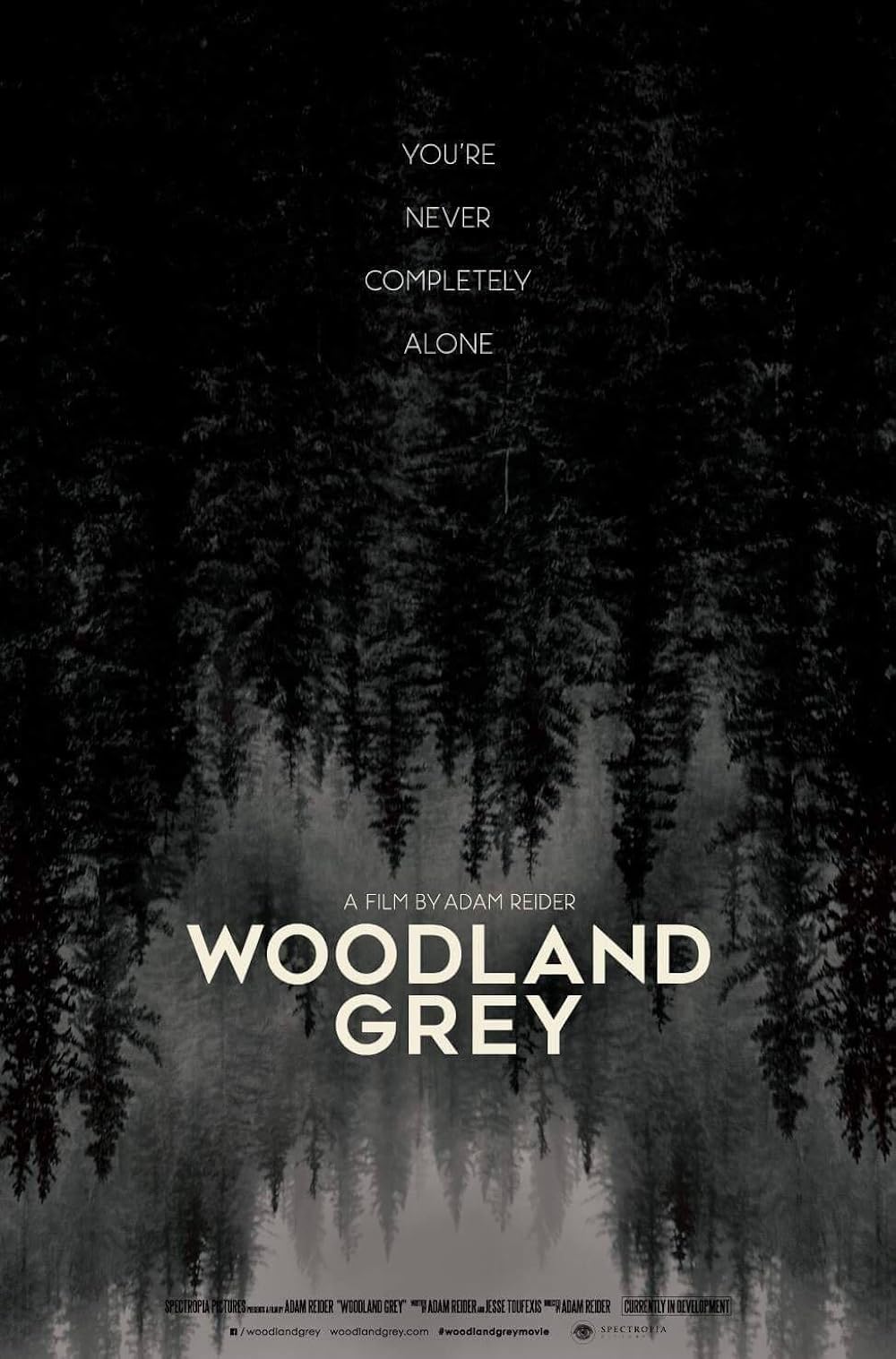 Woodland Grey (2021)