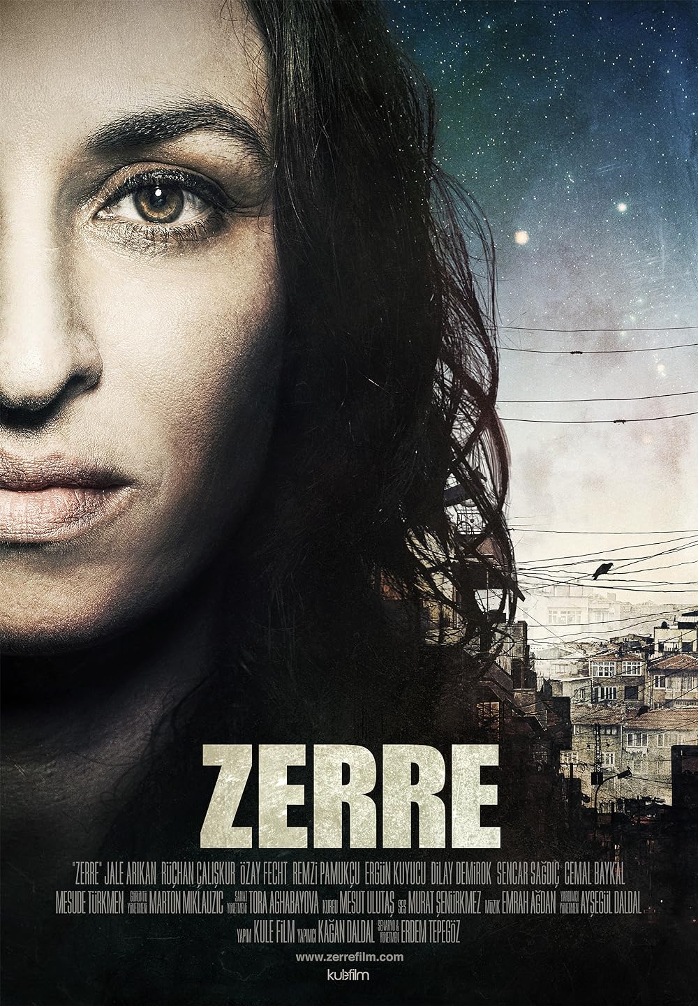 Zerre (2013)