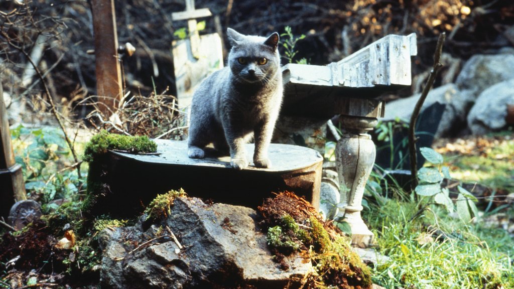 Pet Sematary