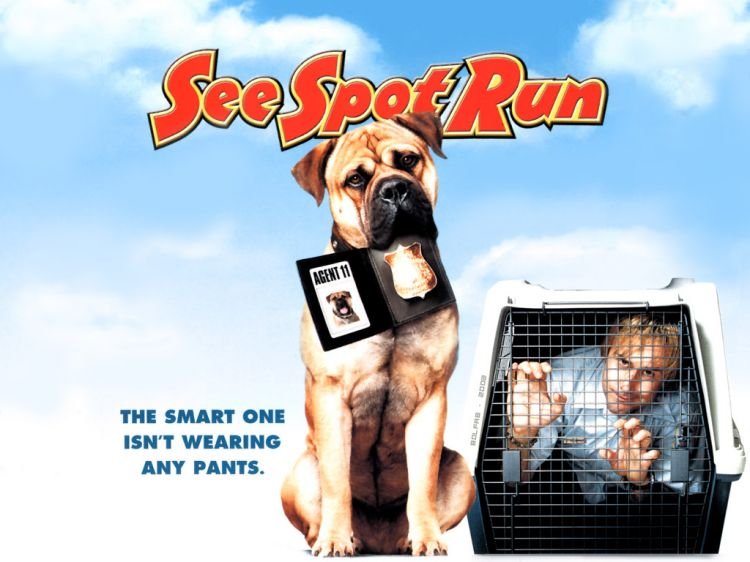 See Spot Run