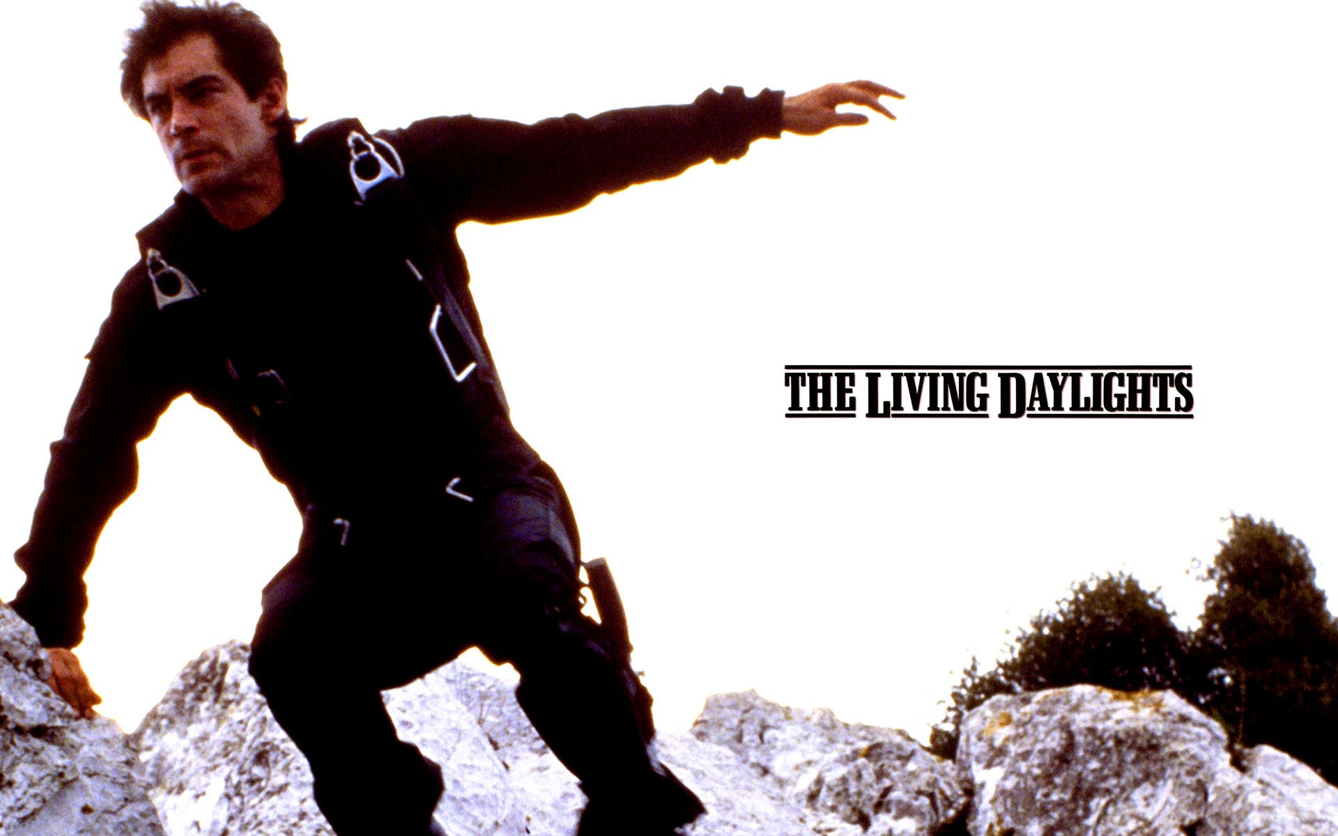 The Living Daylights (james Bond 007)