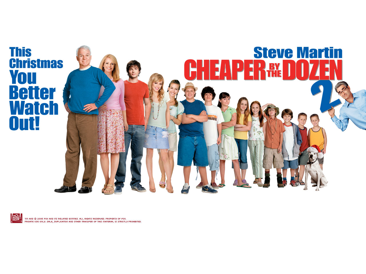 Cheaper By The Dozen 2