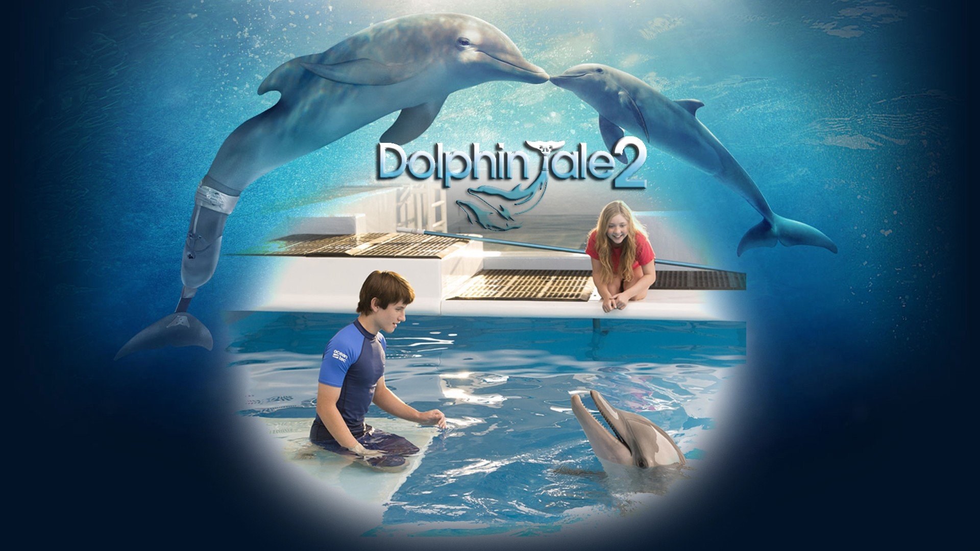 Dolphin Tale 2