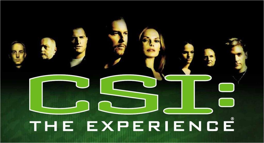 CSI - Season 8