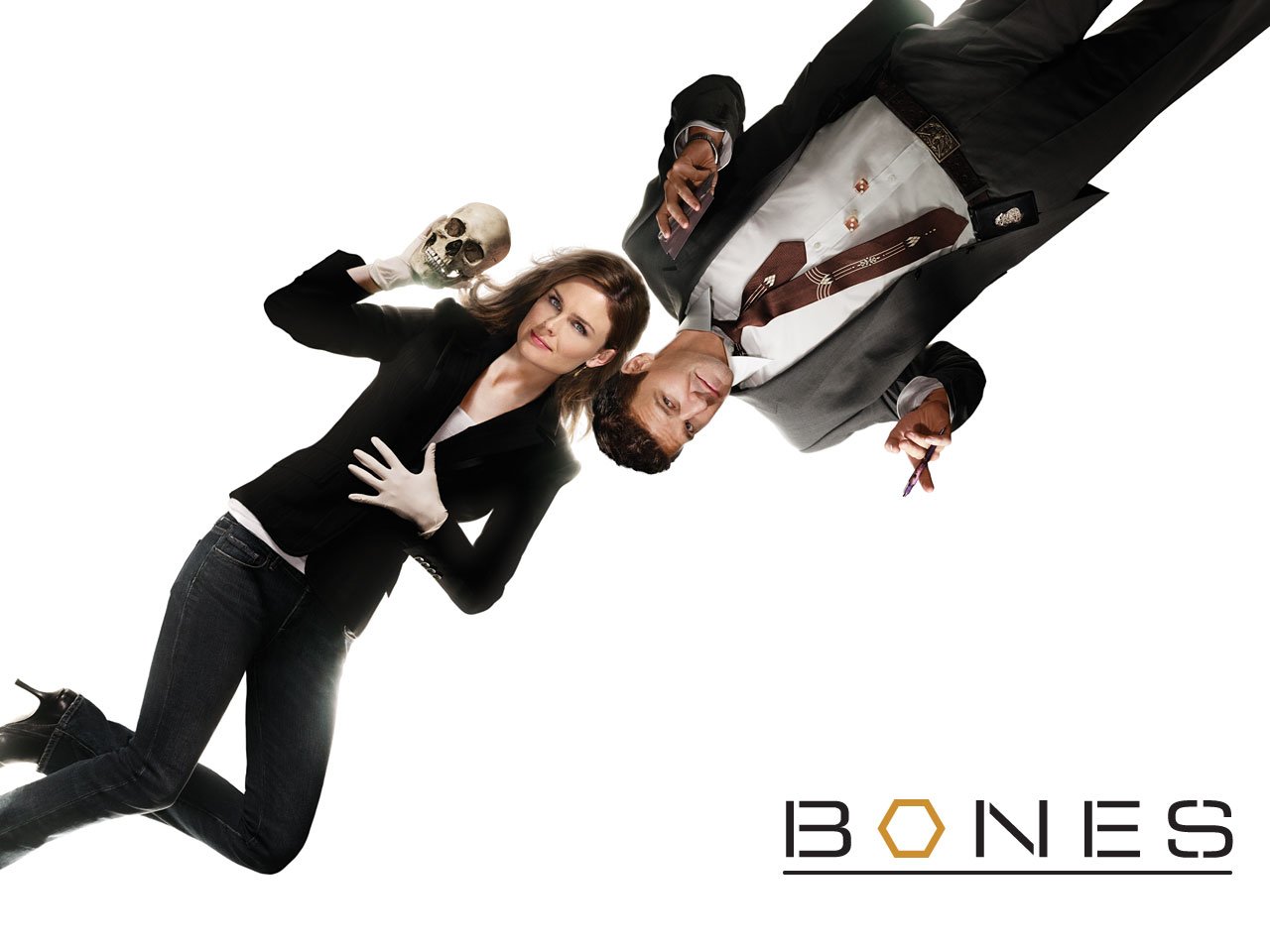 Bones - Season 1