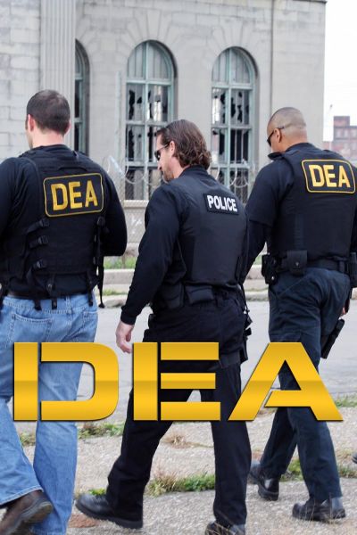 D.E.A. (2008)