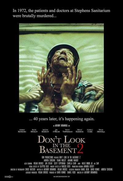 Don't Look in the Basement 2 (2016)