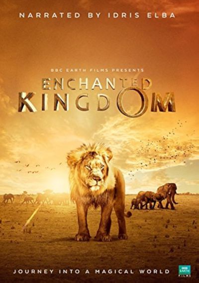 Enchanted Kingdom (2014)