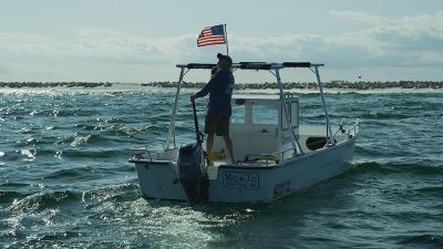 Great White Summer (2024)
