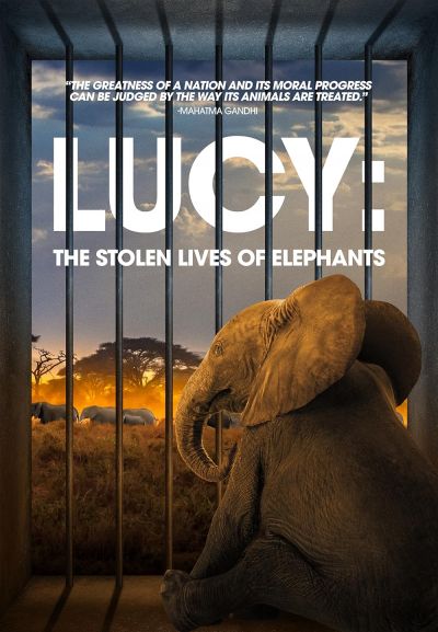 Lucy: The Stolen Lives of Elephants (2025)