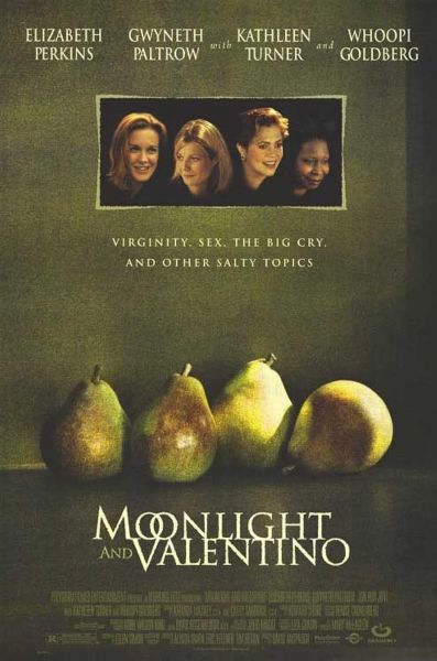 Moonlight and Valentino (1995)