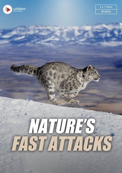 Nature's Fast Attacks (2023)