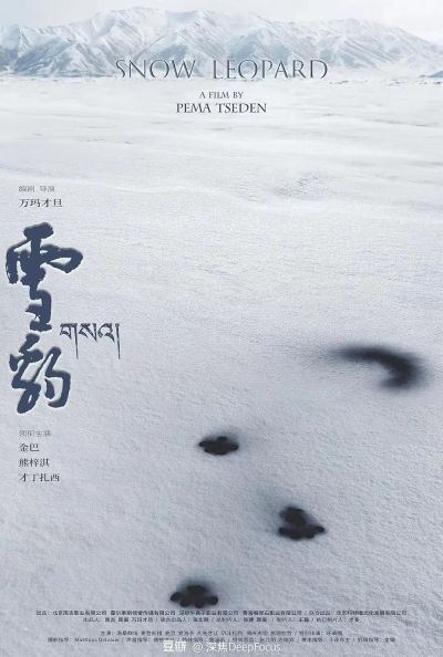 Snow Leopard (2023)