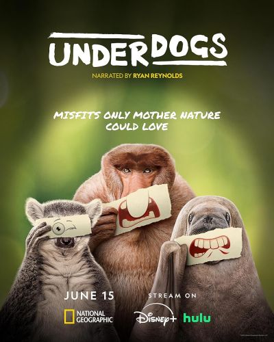 Underdogs (2025)