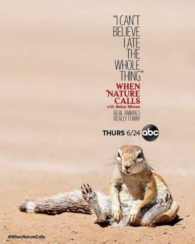 When Nature Calls (2021)