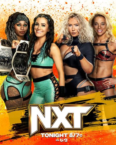 WWE NXT (2010)
